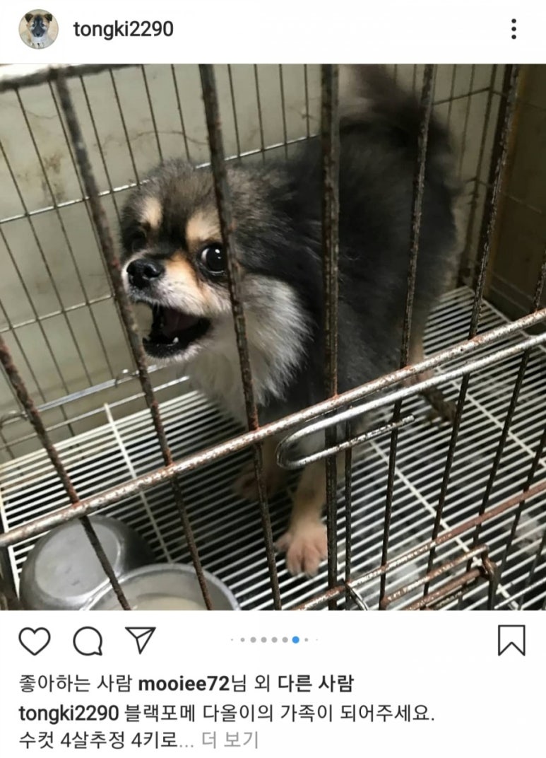 다올여행사 이미지