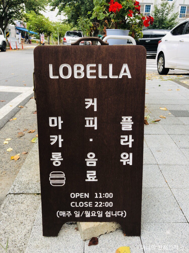 로벨라 이미지