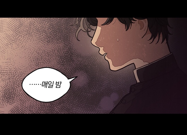 샐러피 이미지