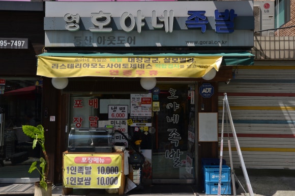 정표진치과 이미지