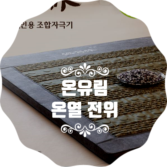 라파전위 이미지