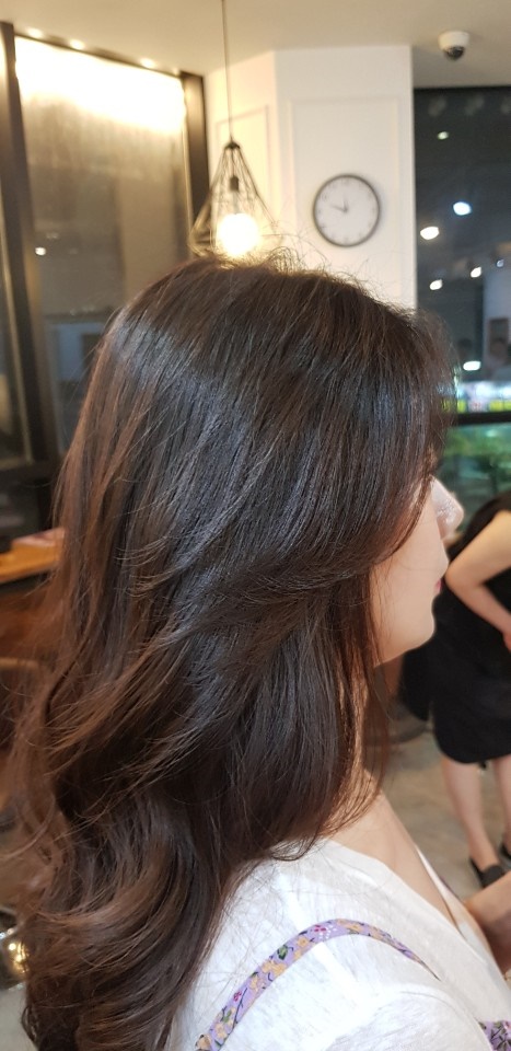 스펠라 헤어 메디컬 이미지