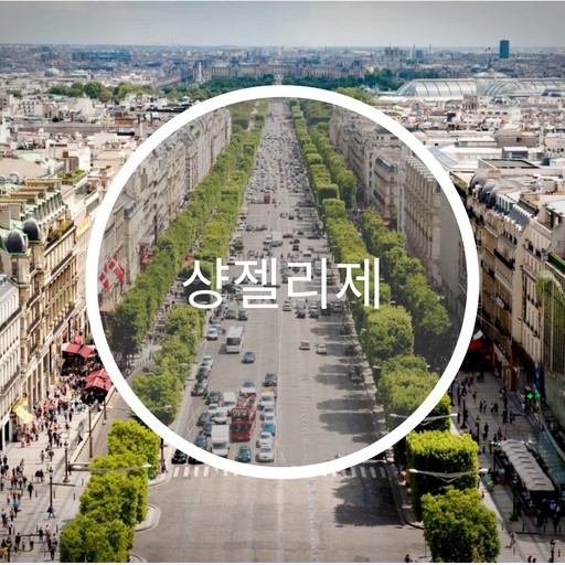 파리의상실 이미지