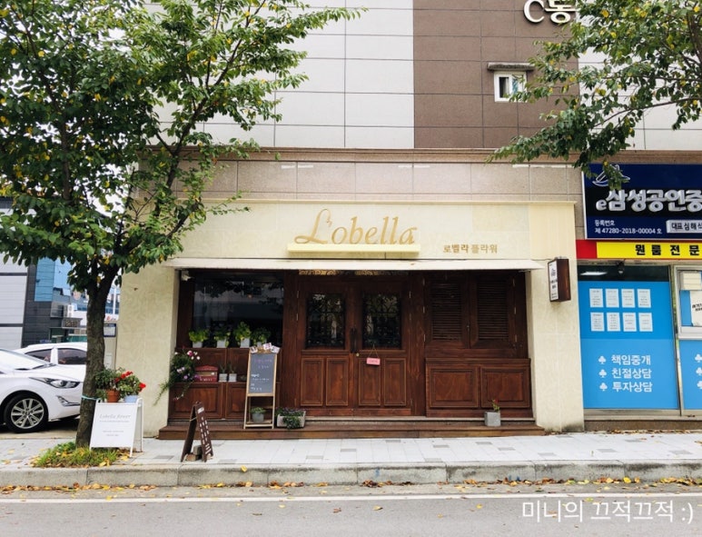 로벨라 이미지