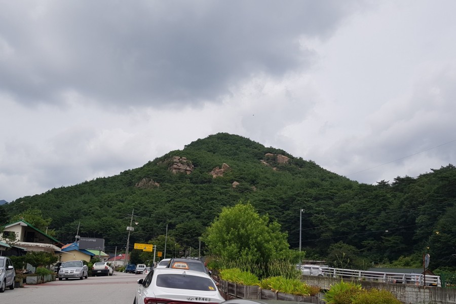 속리산토종닭 이미지
