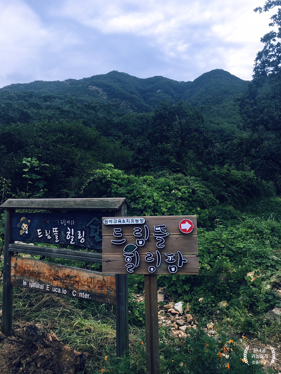 옥자푸드 이미지