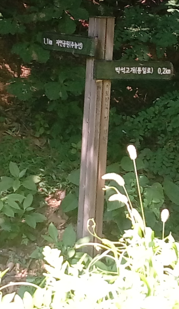 꽃진관 이미지