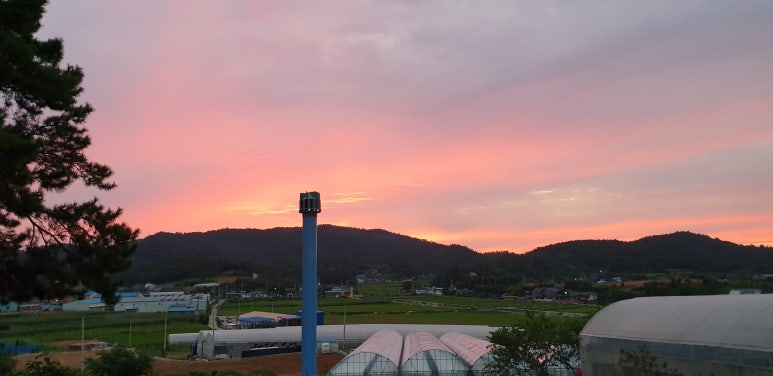 푸른적산 이미지