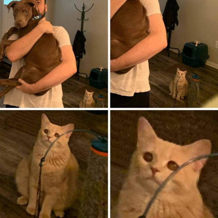 이미지