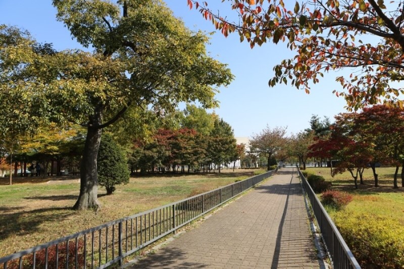 화환꽃배달화랑근조화환축하화환꽃집 이미지