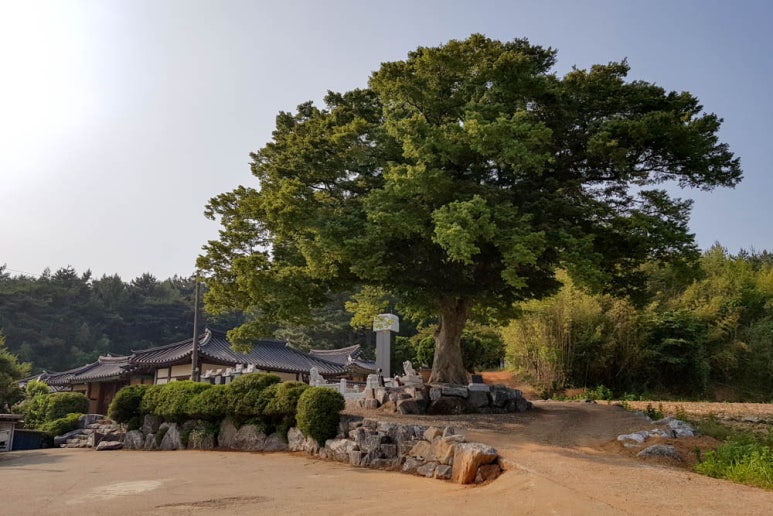 부성사 이미지