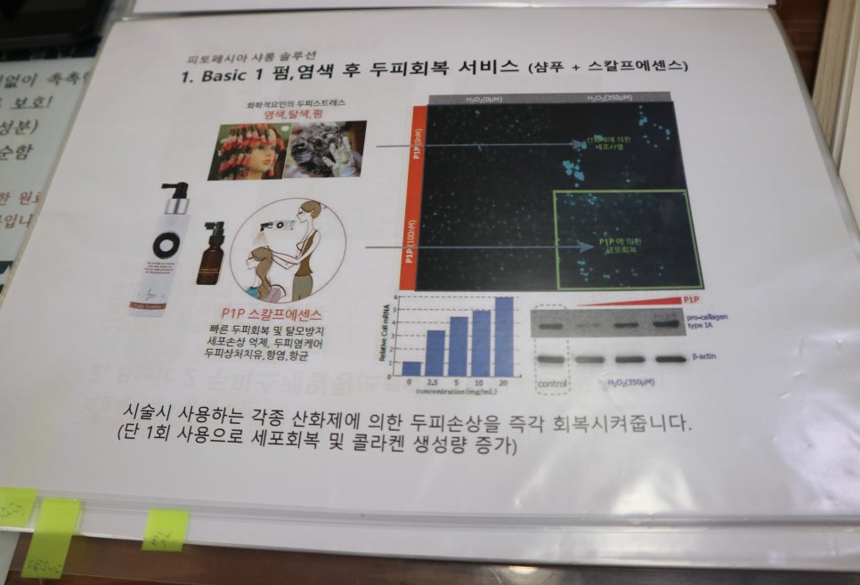네일별하 이미지