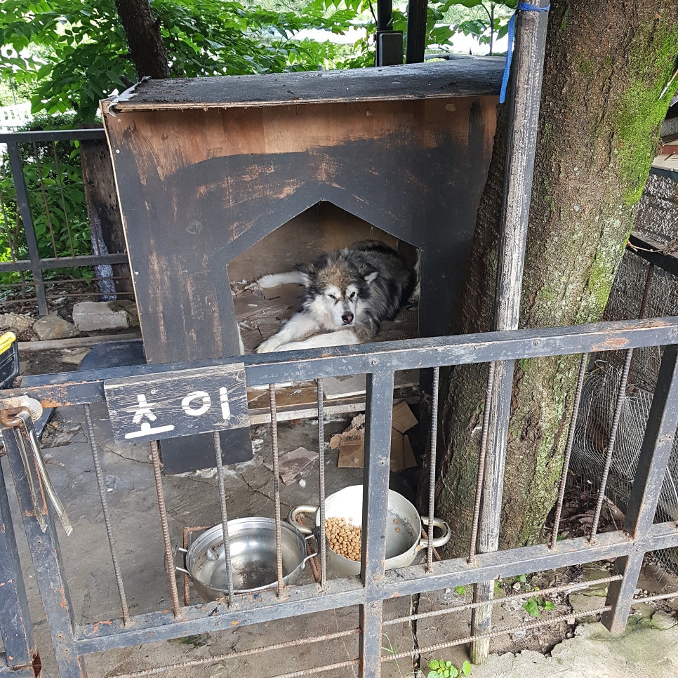 더설레임펜션 이미지