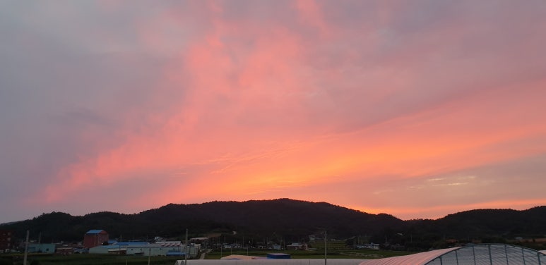 푸른적산 이미지