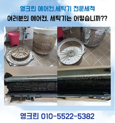 영크린 이미지