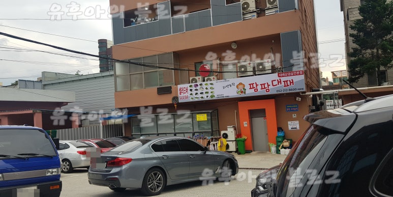 팜팜대패태화점 이미지