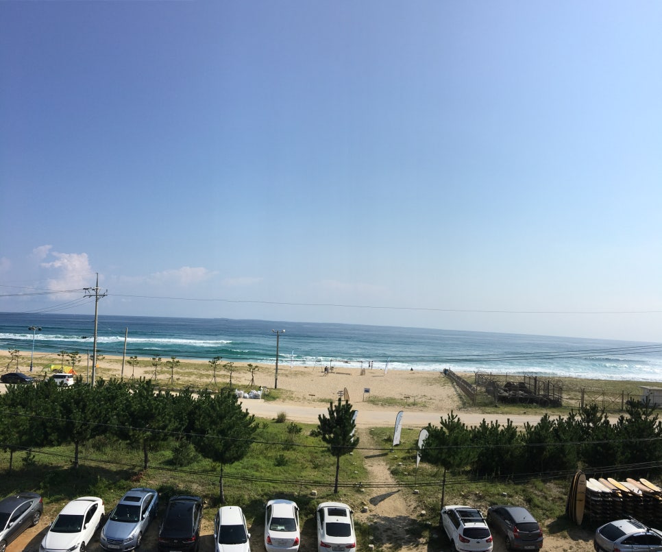 서프쉑 이미지