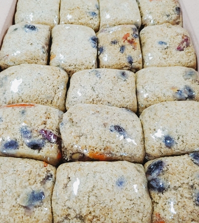 참조은세상 이미지