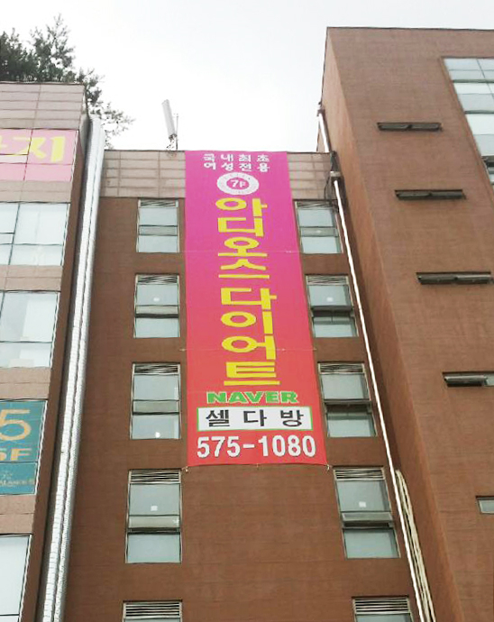 셀다 이미지
