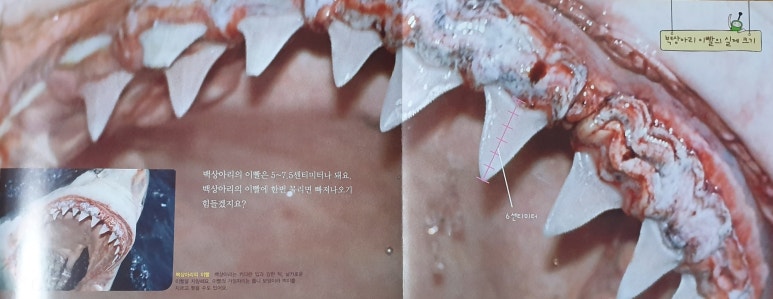 태영도서 이미지