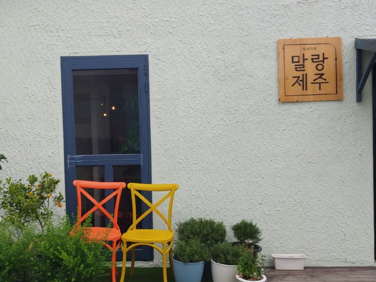 말랑주디 이미지