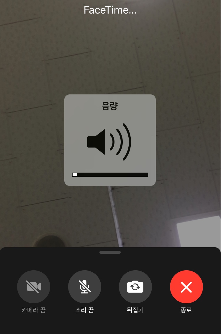 빙그레꽈배기 이미지