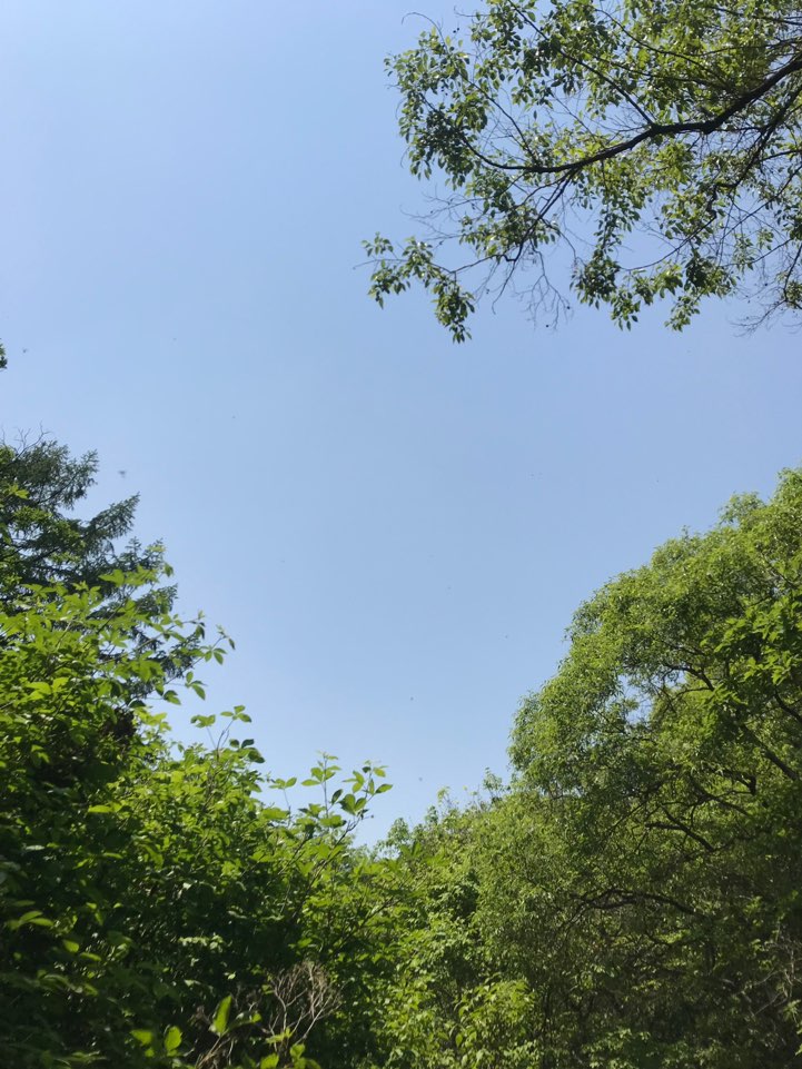 연세하나안과 이미지