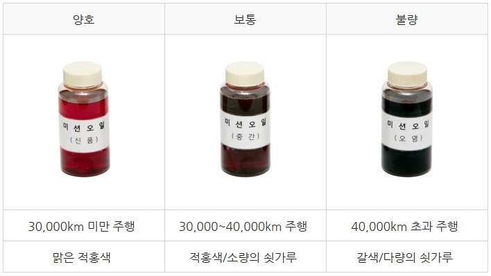 오일리브 이미지