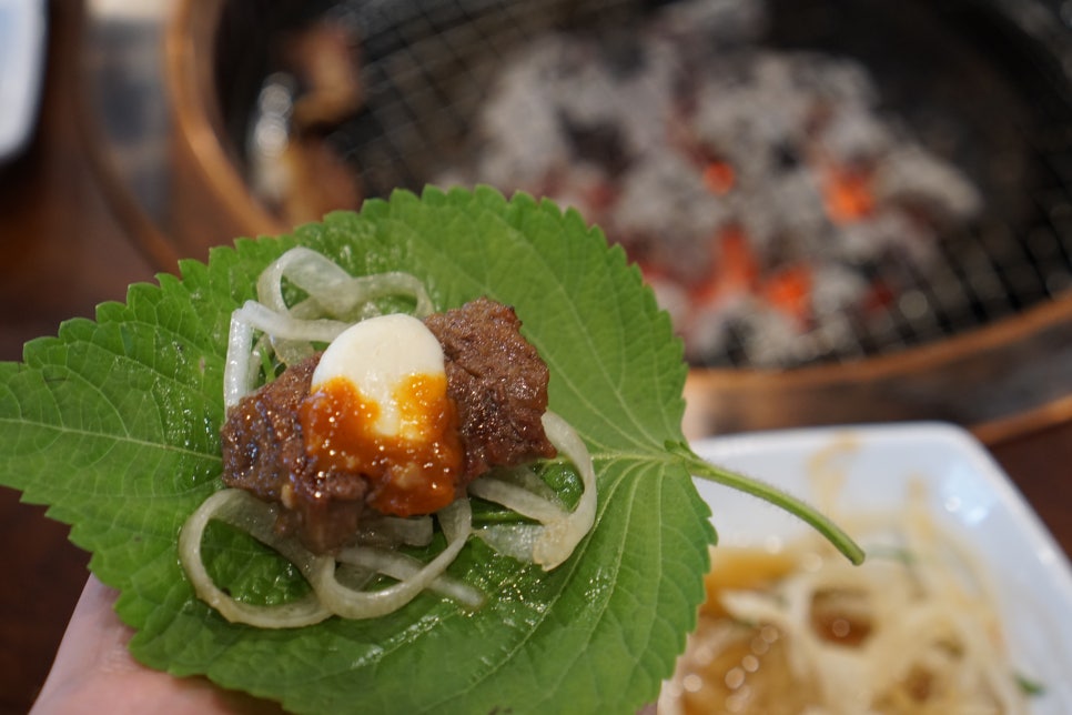 하한정 이미지