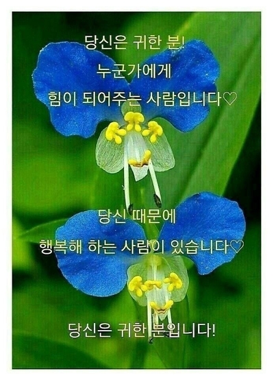 이레상담연구소 이미지