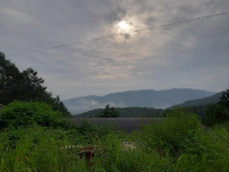 산이슬식품 이미지