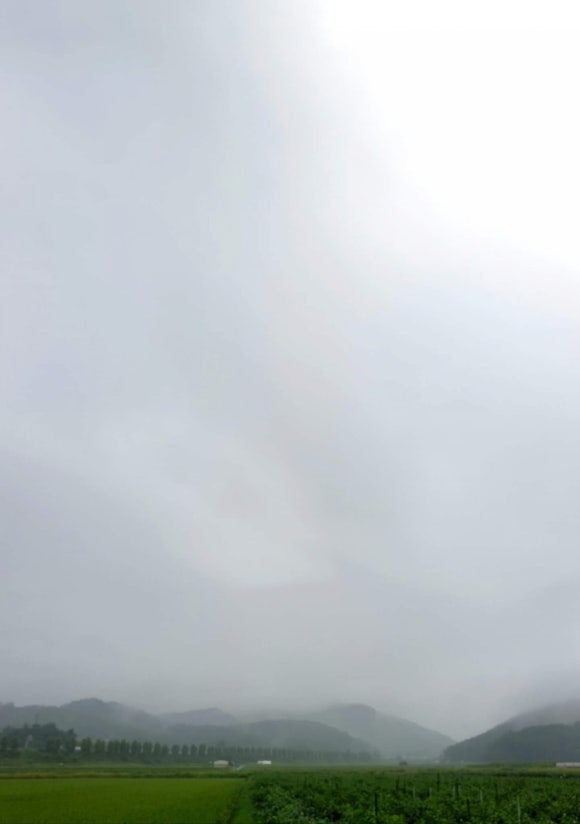 초우다방 이미지
