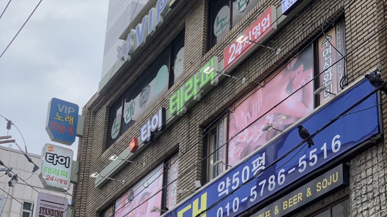 사상더타이 이미지
