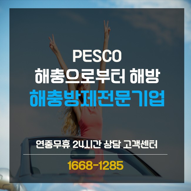 페스코 이미지