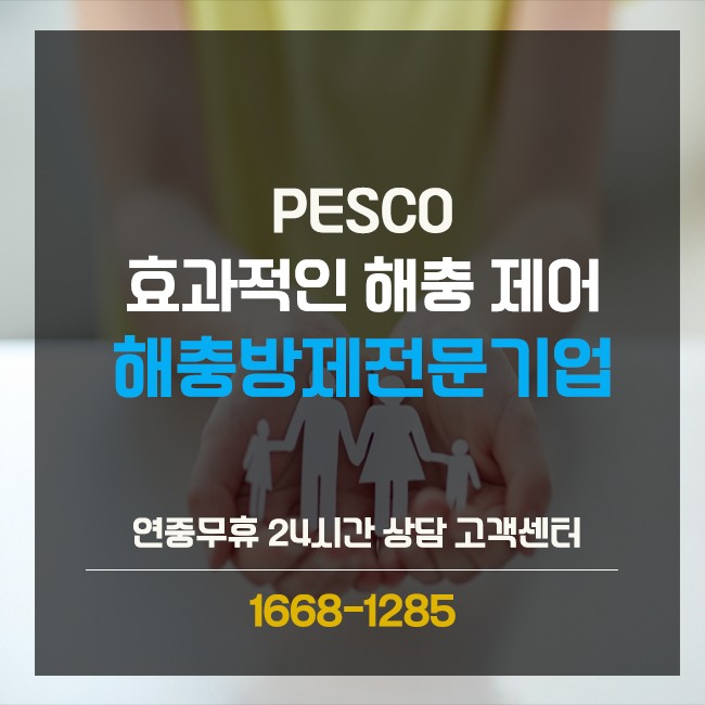 페스코 이미지