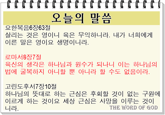 영과육 이미지