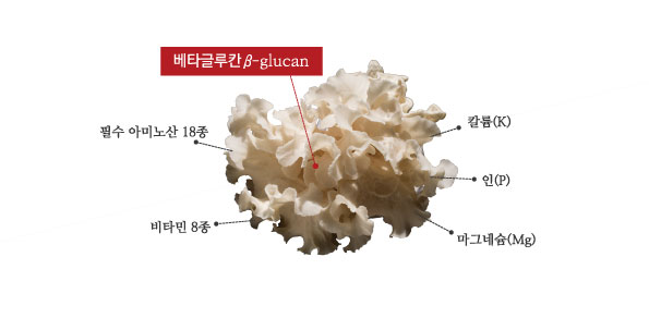 꽃송이인셀덤 이미지