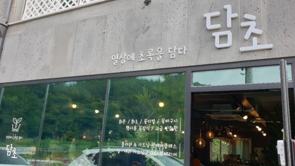 담초 이미지