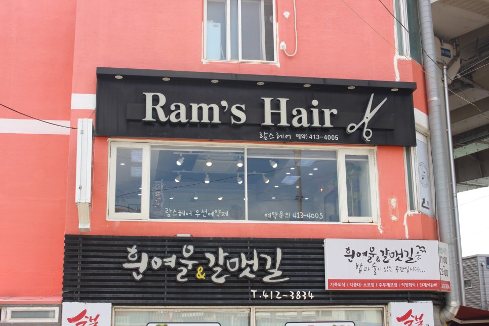 람스헤어 이미지