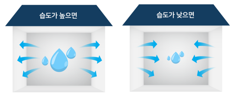 내집엔 이미지
