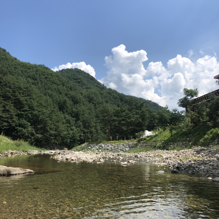 용오름캠핑장 이미지