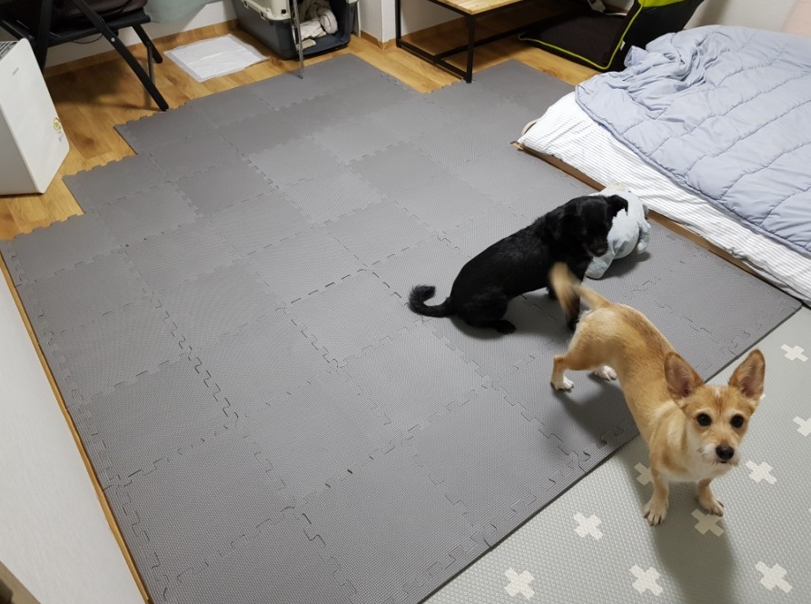 린도 이미지