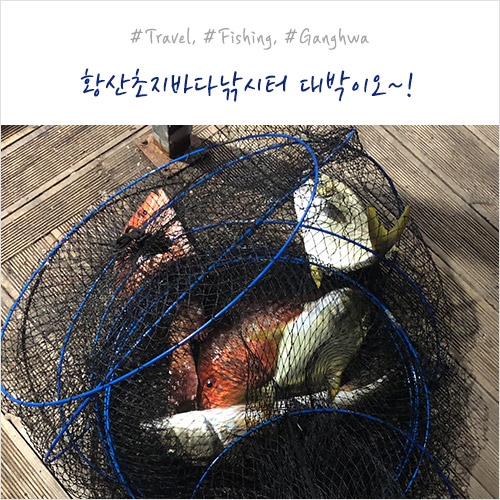 초지가방 이미지