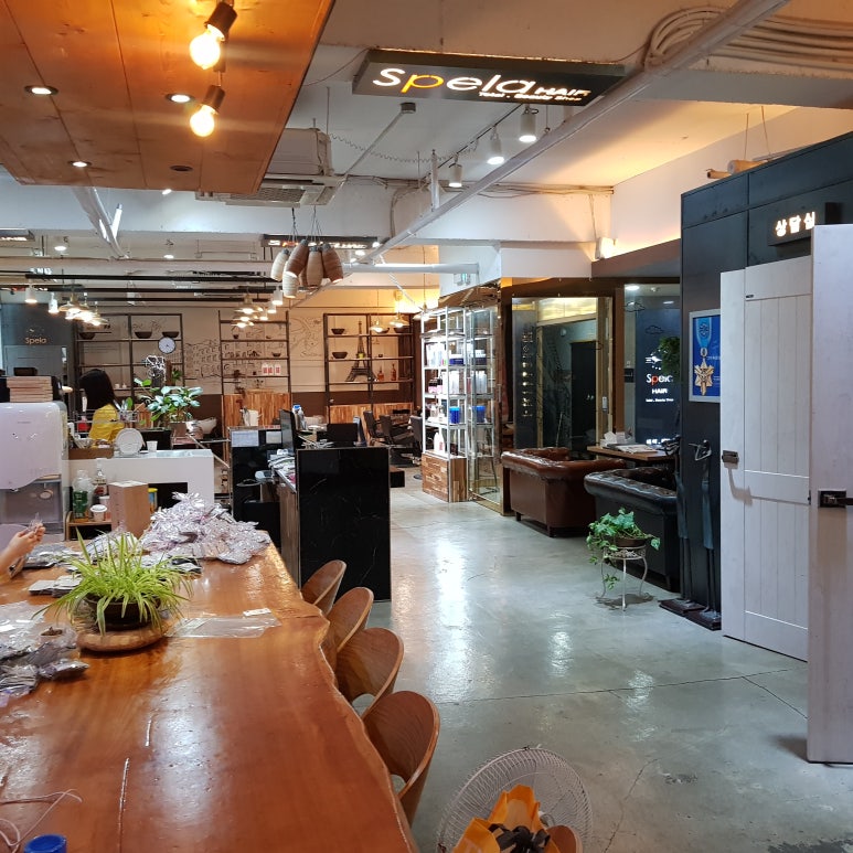 스펠라 헤어 메디컬 이미지