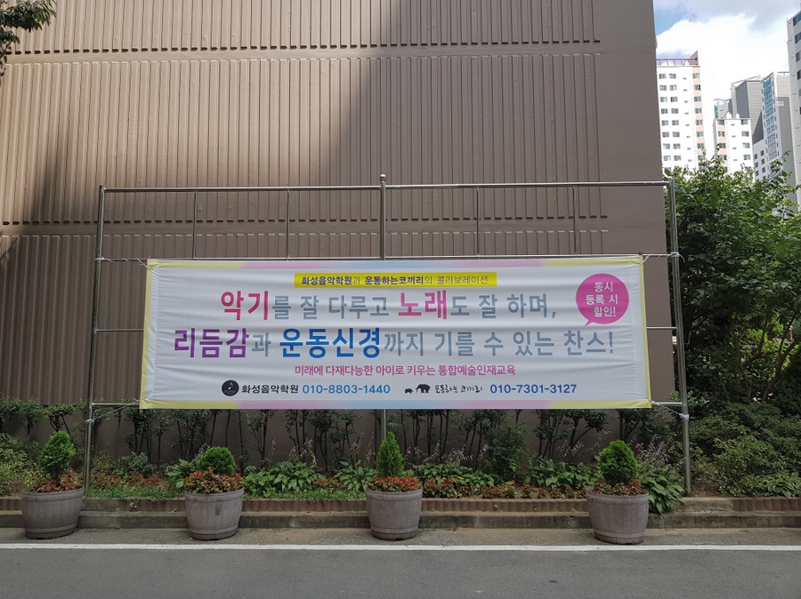 운동하는코끼리 이미지