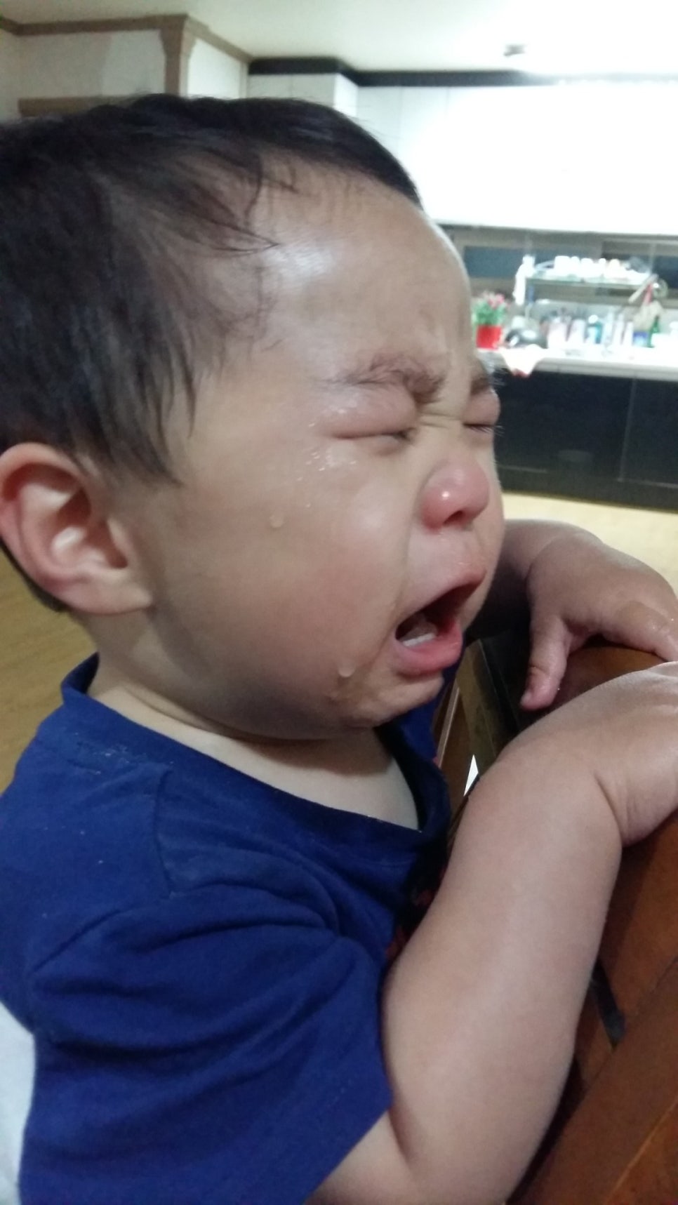 영율 이미지