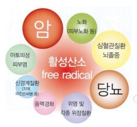 케이파워 이미지