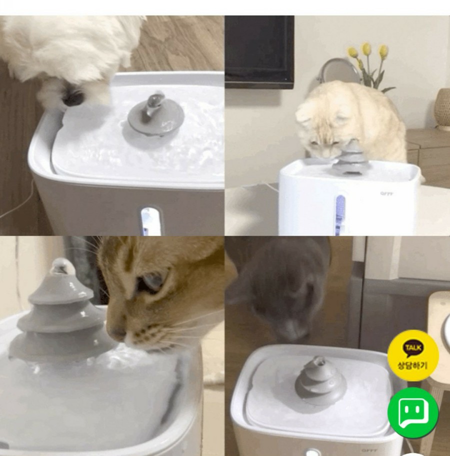 아르르(Arr) 이미지
