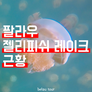 벨라우투어 이미지