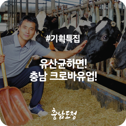 크로바 유업 이미지